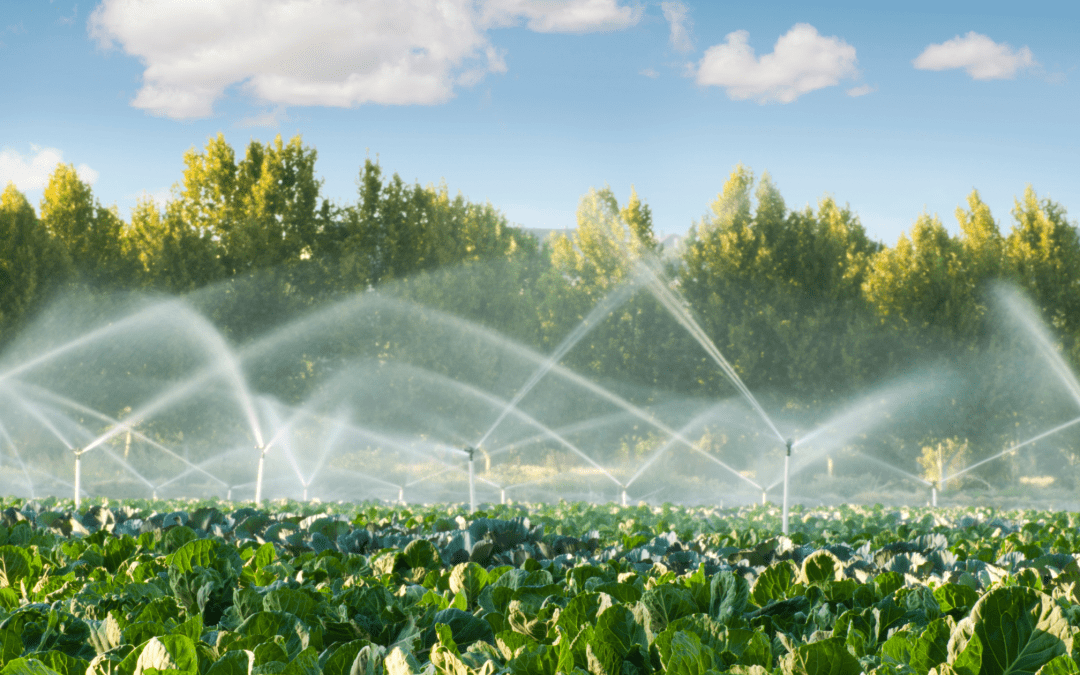 Sistemas de riego en agricultura