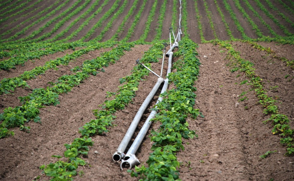 Instalación de Riego por Tipo de Suelo