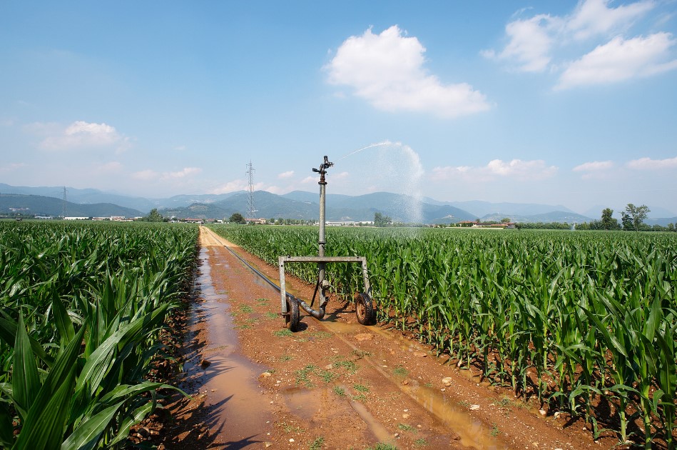 Evaluación personalizada de las necesidades de riesgo