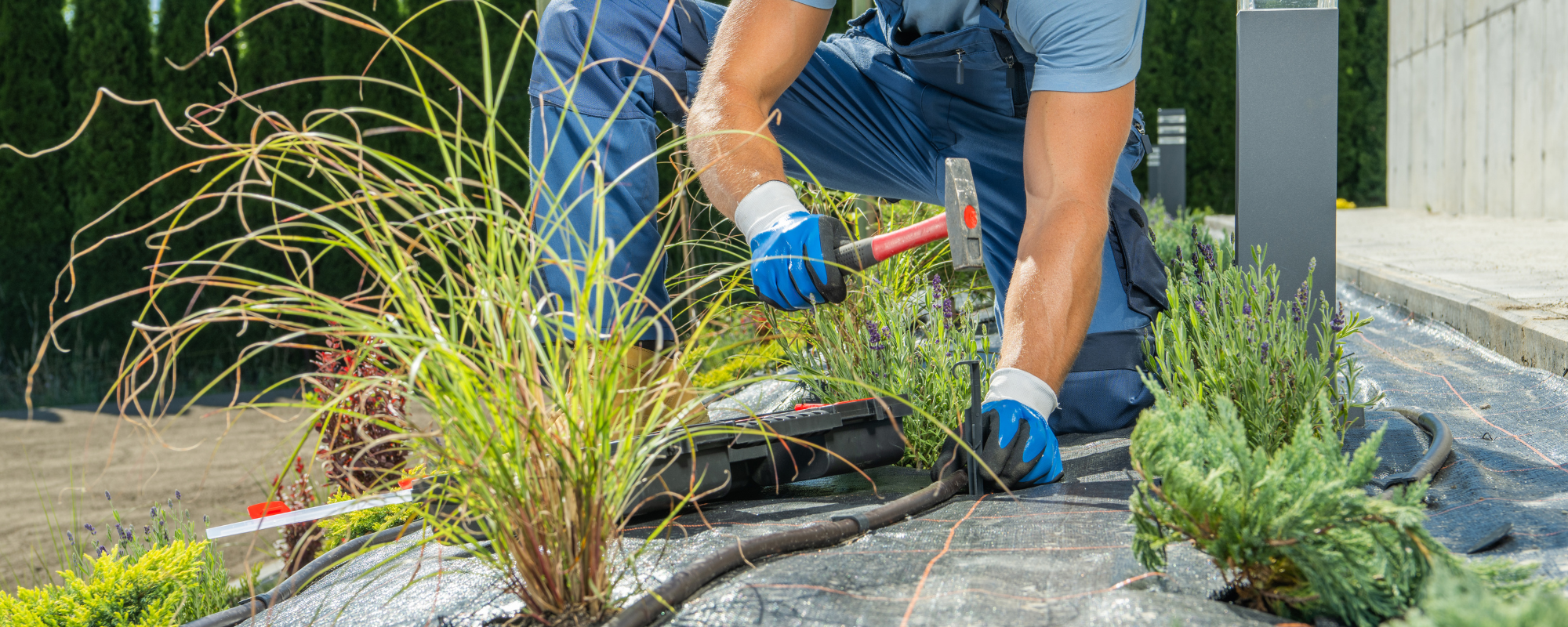Explotaciones agrarias en Castila Leon