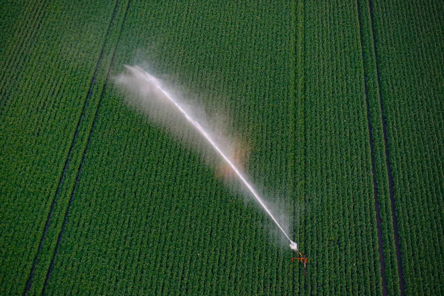 H4 Instalación Adecuada para Cada Dimensión en tu huerto
