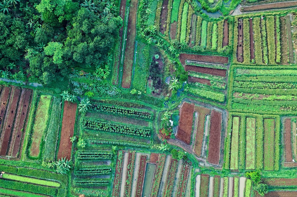 H4 Instalación Adecuada para Cada Dimensión en tu huerto