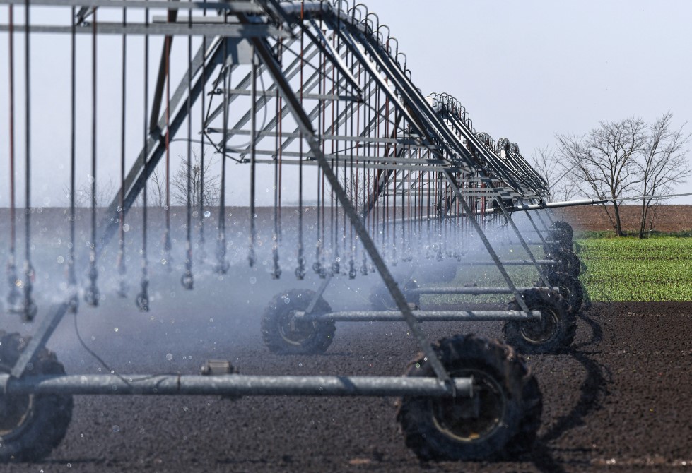 Instalación Adecuada para Cada Dimensión en tu huerto 2
