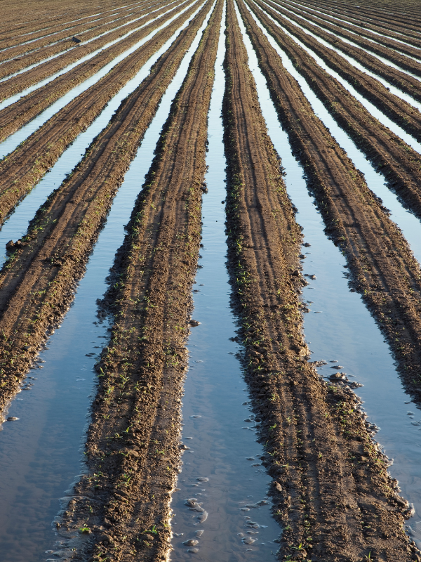 Instalación de Riego por Tipo de Suelo Toledo