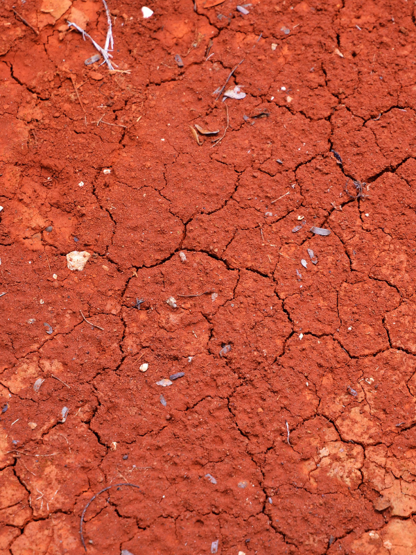 Instalación de Riego por Tipo de Suelo