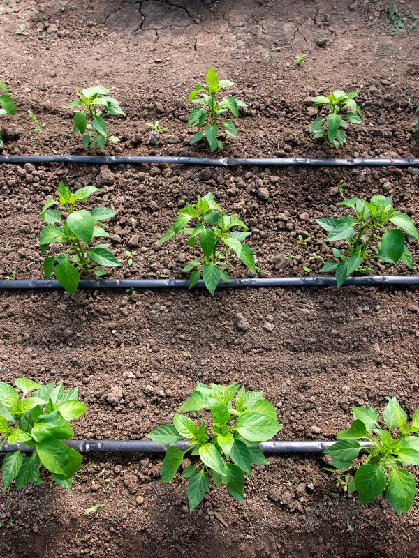 H4 Instalación de Riego por Tipo de Suelo