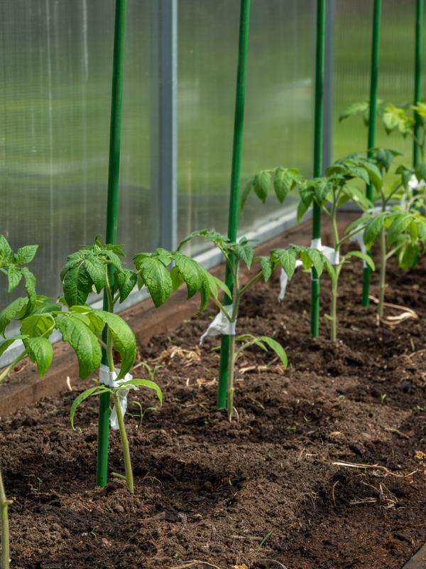 Instalación de riego según tipo de suelo agrícola
