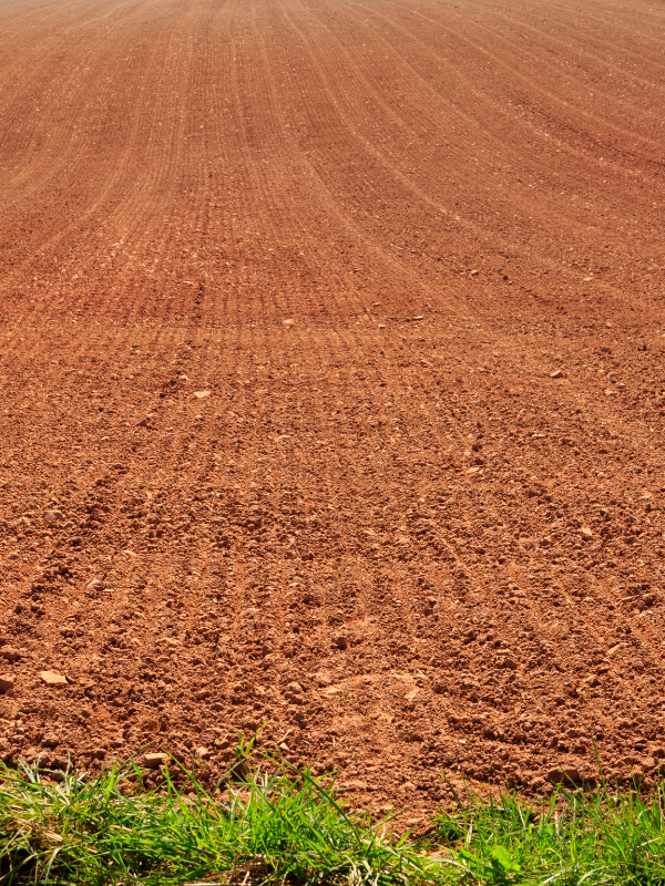 Instalaciones de riego adaptadas al clima de toledo Instalaciones de riego adaptadas al clima de toledo