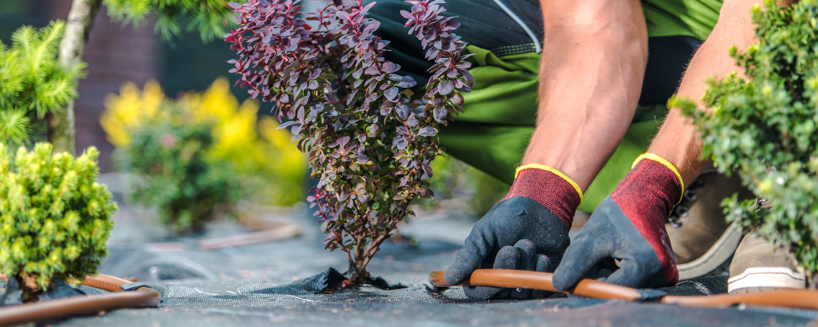 Instalamos el mejor sistema de riego en Sevilla independientemente de la dimensiones de tu huerto