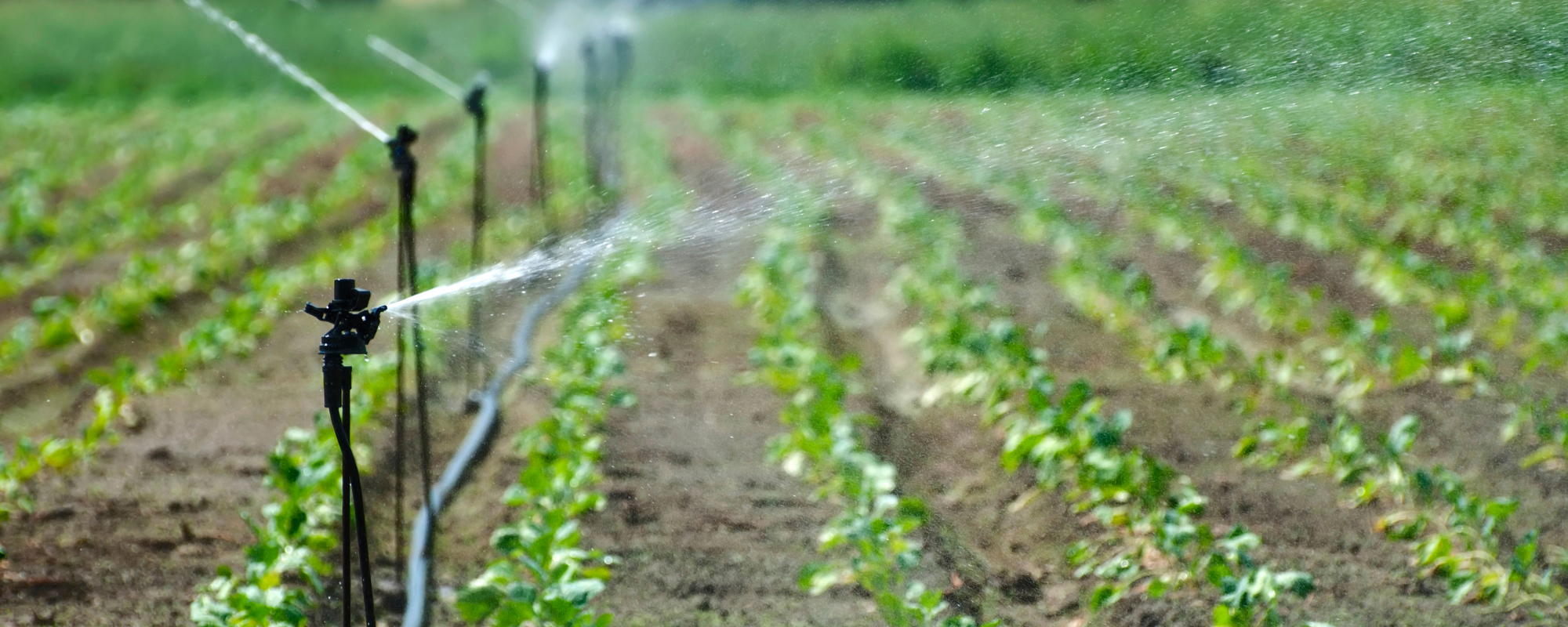 Soluciones de riego agrícola para explotaciones cerealistas
