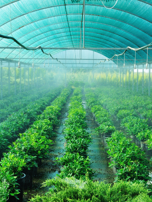 Riego para todo tipo de cultivos agrícolas Riego para todo tipo de cultivos agrícolas