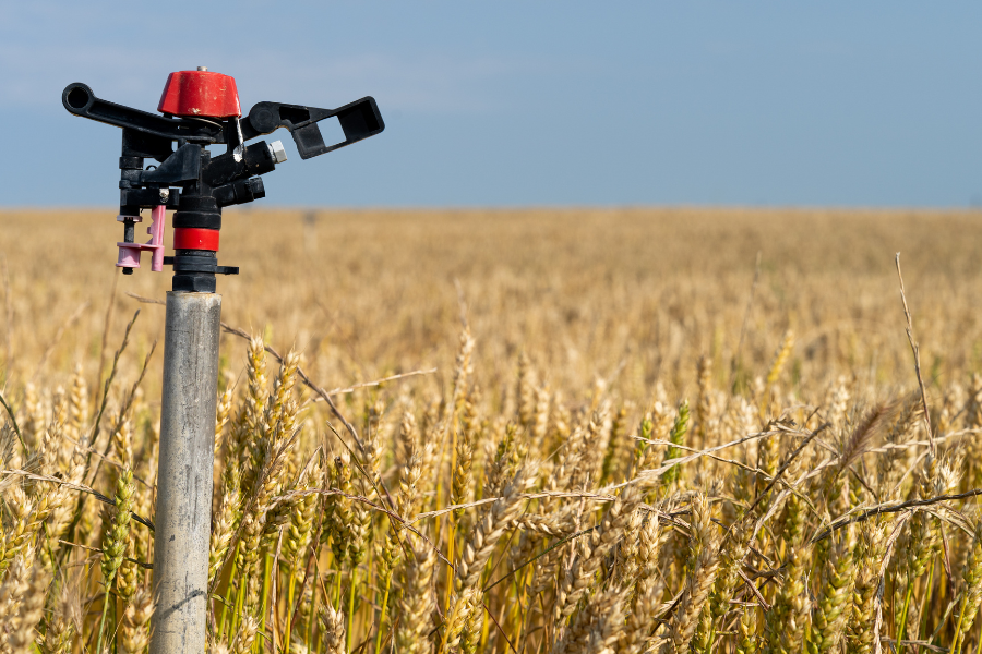 Soluciones de riego en terrenos con pendiente o riesgo de erosión