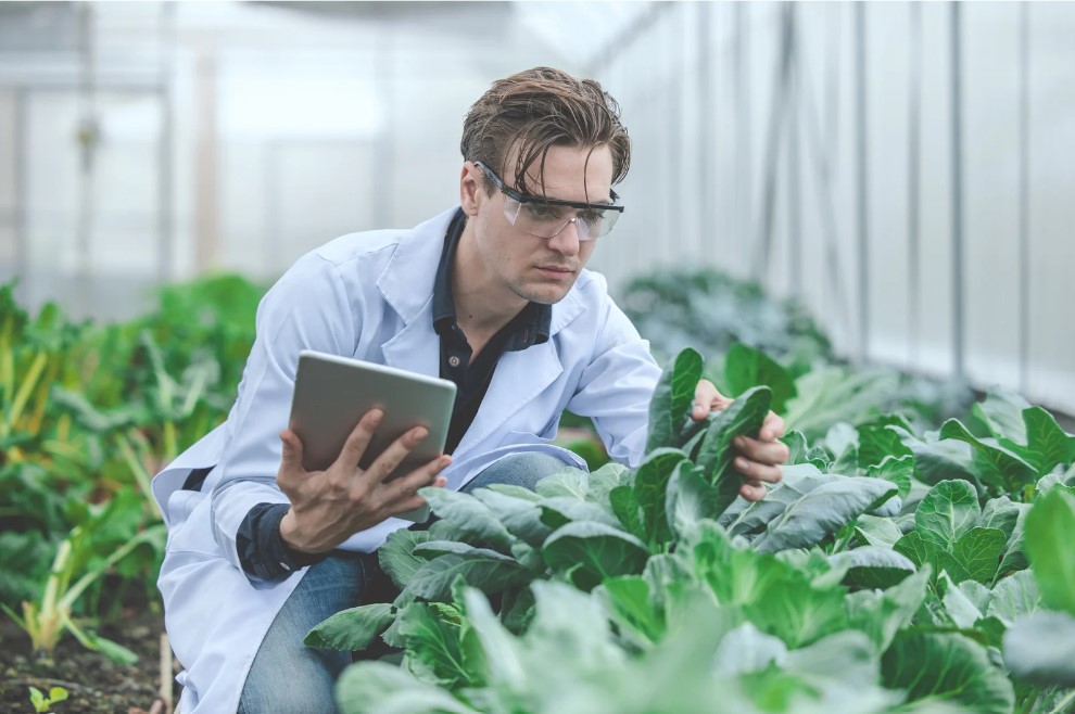 H4 Evaluación Personalizada de las Necesidades de Riego