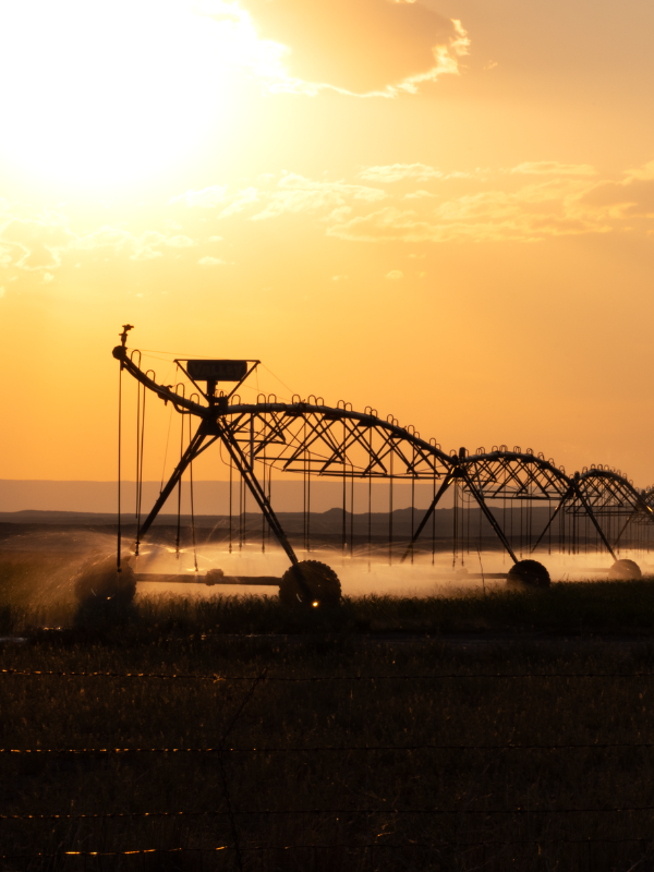 explotaciones agrarias en Andalucía H2 explotaciones agrarias en Andalucía