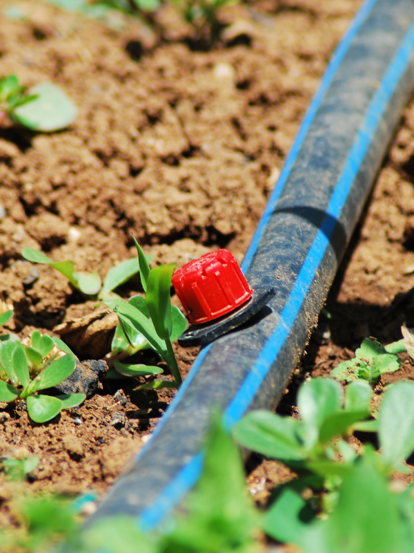 Explotaciones agrarias en Castila Leon