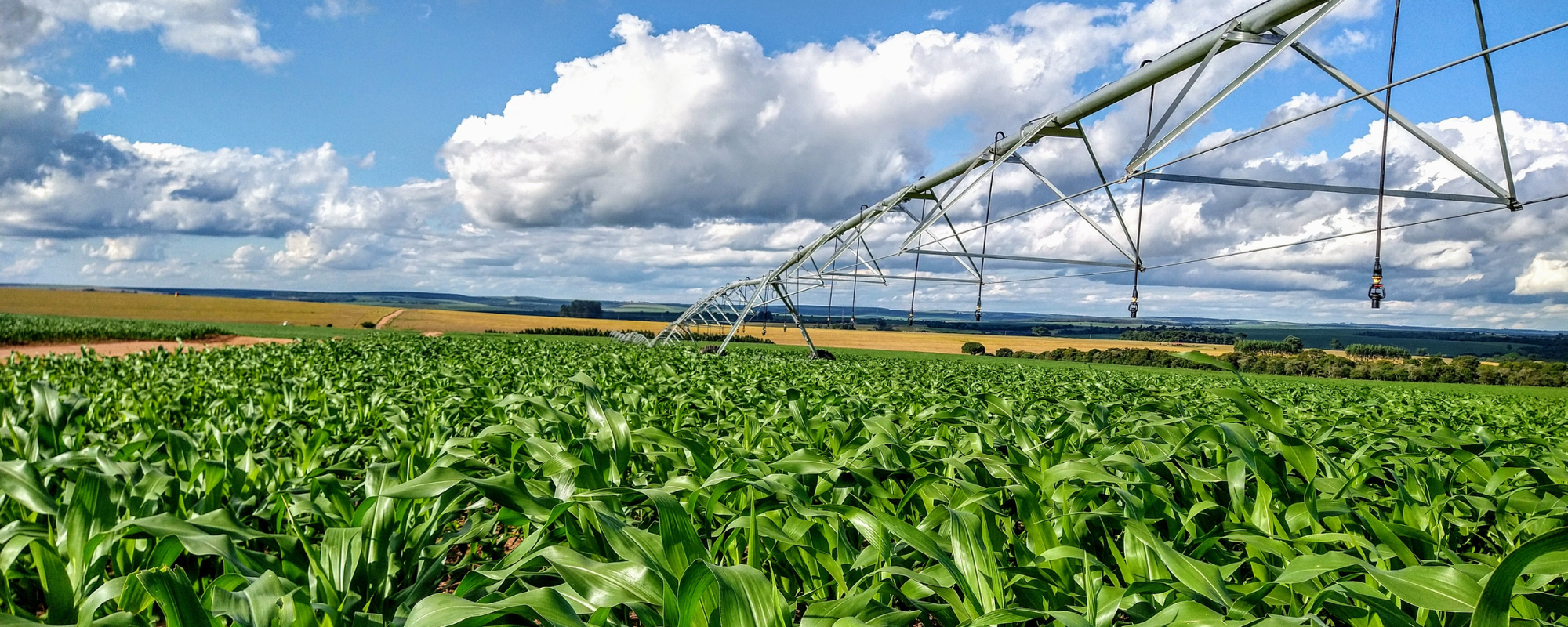 sistema de riego en Toledo