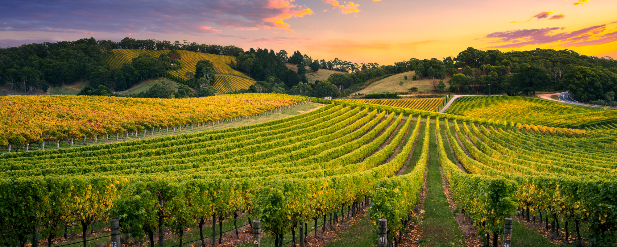 h2 sistemas de riego para cualquier tamaño de viña