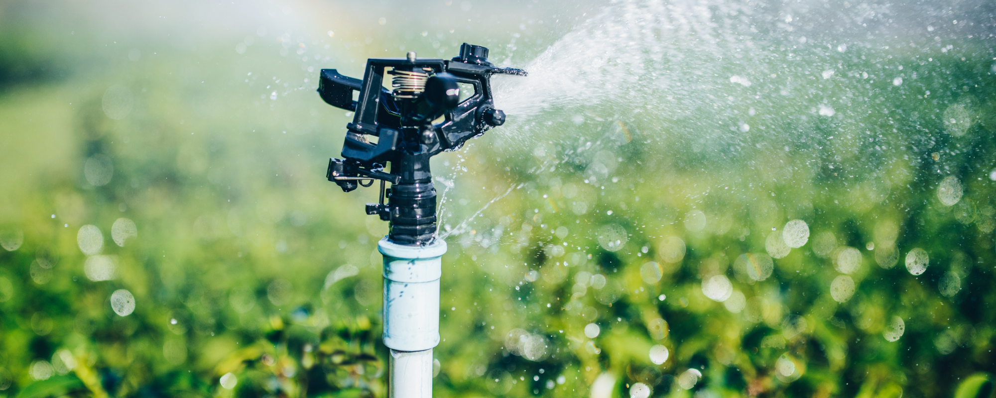 H2 Sistemas de Riego para Huertos en Cáceres