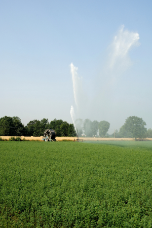 tipo de cultivo Cordoba todo tipo de cultivo en cordoba